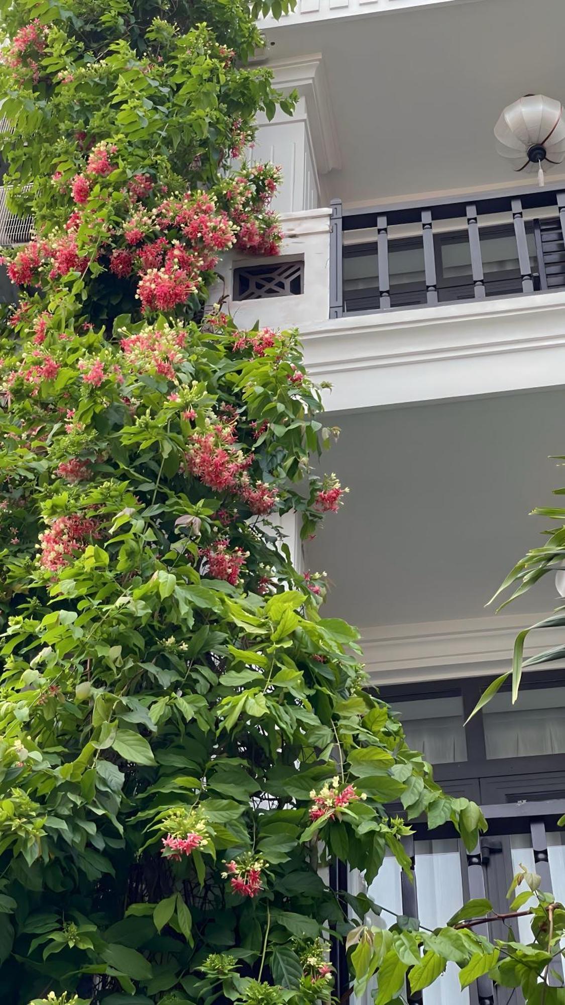 Hoi An Discovery Villa Екстер'єр фото